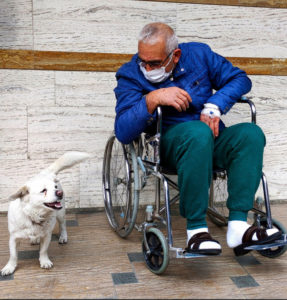 hospital patient and dog